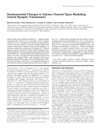 Developmental Changes in Calcium Channel Types Mediating Central Synaptic Transmission