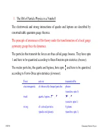 1. the SM of Particle Physics in a Nutshell the Electroweak And