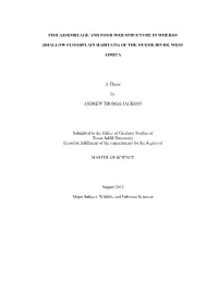 Food Webs, Hydrologic Connectivity, and Flow Pulses in the Upper