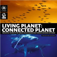 Living Planet: Connected Planet Preventing the End of the World’S Wildlife Migrations Through Ecological Networks
