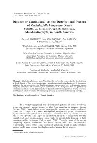 On the Distributional Pattern of Cephaloziella Hampeana (Nees) Schiffn