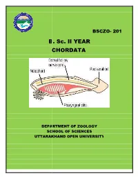 B C . Sc. II YEAR CHORDATA