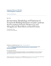 Incorporation, Morphology, and Extinction of Framework-Building