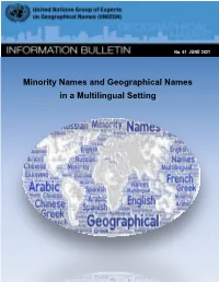 Minority Names and Geographical Names in a Multilingual Setting