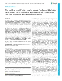 The Budding Yeast Pex5p Receptor Directs Fox2p and Cta1p Into