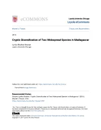 Cryptic Diversification of Two Widespread Species in Madagascar
