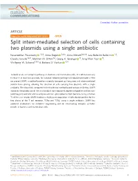 Split Intein-Mediated Selection of Cells Containing Two Plasmids Using a Single Antibiotic