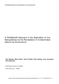 A Risk/Benefit Approach to the Application of Iron Nanoparticles for the Remediation of Contaminated Sites in the Environment