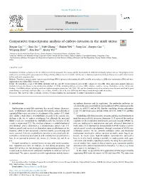 Comparative Transcriptome Analysis of Embryo Invasion in the Mink Uterus