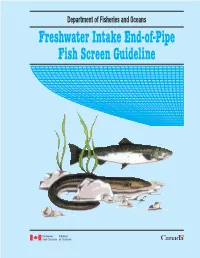 Freshwater Intake End-Of-Pipe Fish Screen Guideline