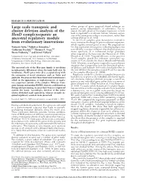 Large Scale Transgenic and Cluster Deletion Analysis of the Hoxd Complex Separate an Ancestral Regulatory Module from Evolutionary Innovations