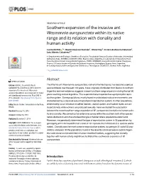 Southern Expansion of the Invasive Ant Wasmannia Auropunctata Within Its Native Range and Its Relation with Clonality and Human Activity