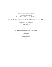 L.Forster Thesis PM