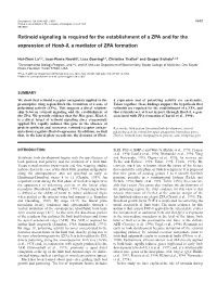 Retinoid Signaling Is Required for the Establishment of a ZPA and for the Expression of Hoxb-8, a Mediator of ZPA Formation