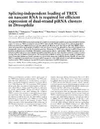 Splicing-Independent Loading of TREX on Nascent RNA Is Required for Efficient Expression of Dual-Strand Pirna Clusters in Drosophila