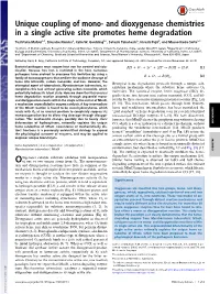 Unique Coupling of Mono- and Dioxygenase Chemistries in a Single Active Site Promotes Heme Degradation