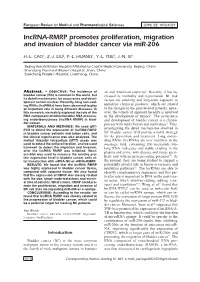 Lncrna-RMRP Promotes Proliferation, Migration and Invasion of Bladder Cancer Via Mir-206