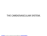 The Cardiovascular System