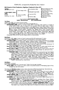 YEARLING, Consigned by Ballyphilip Stud, Ireland