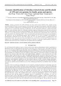 Genomic Identification of Rhizobia-Related Strains And