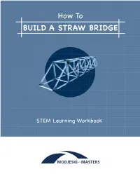How to BUILD a STRAW BRIDGE