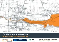 Carrigaline Masterplan MIXED-USE DEVELOPMENT