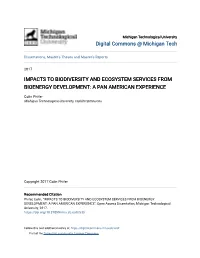 Impacts to Biodiversity and Ecosystem Services from Bioenergy Development: a Pan American Experience