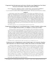 (Panulirus Argus) Populations at Two Marine Protected Areas in Belize: Status and Lessons for the Future