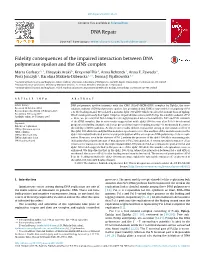 Fidelity Consequences of the Impaired Interaction Between DNA