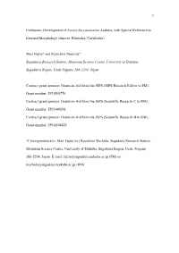 Embryonic Development of Eucorydia Yasumatsui Asahina, with Special Reference To