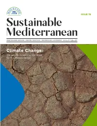Sustainable Mediterranean, Issue No 78