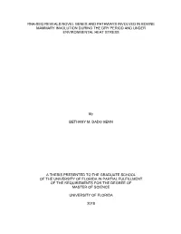 University of Florida Thesis Or Dissertation Formatting