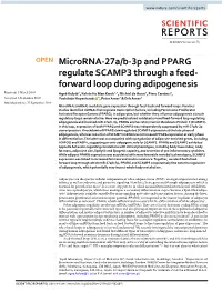 Microrna-27A/B-3P and PPARG Regulate SCAMP3 Through a Feed