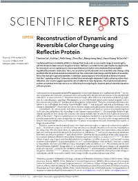 Reconstruction of Dynamic and Reversible Color Change Using