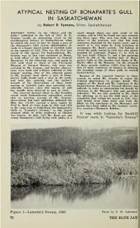 Blue Jay, Vol.26, Issue 2