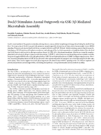Dock3 Stimulates Axonal Outgrowth Via GSK-3ß-Mediated Microtubule