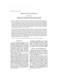 Network Scan Data