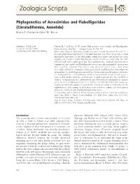 Phylogenetics of Acrocirridae and Flabelligeridae (Cirratuliformia, Annelida)