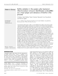 Sulfite Oxidation in the Purple Sulfur Bacterium Allochromatium Vinosum: Identification of Soeabc As a Major Player and Relevance of Soxyz in the Process