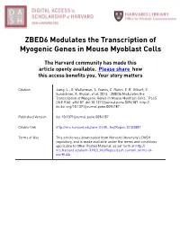 ZBED6 Modulates the Transcription of Myogenic Genes in Mouse Myoblast Cells